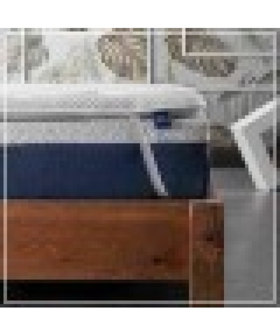 Ανώστρωμα ημίδιπλο Ανώστρωμα ημίδιπλο