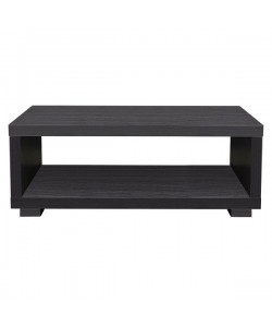 ΤΡΑΠΕΖΙ ΣΑΛΟΝΙΟΥ SALEM HM2217.01 ZEBRANO 120Χ60Χ42εκ.