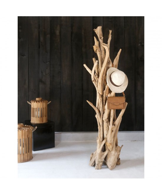 ΚΑΛΟΓΕΡΟΣ HM9367 ΑΠΟ ΜΑΣΙΦ ΞΥΛΟ TEAK ΦΥΣΙΚΟ 36x30x183Υεκ.