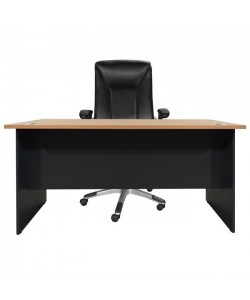 ΓΡΑΦΕΙΟ ΕΠΑΓΓΕΛΜΑΤΙΚΟ ABELINA 150x75x75 HM2016.01 ΓΚΡΙ-ΟΞΙΑ