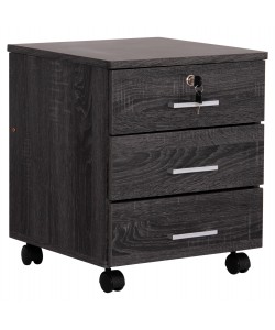 ΣΥΡΤΑΡΙΕΡΑ ΓΡΑΦΕΙΟΥ HAYDEN HM2282.01 ΣΕ ΑΝΘΡΑΚΙ ΧΡΩΜΑ 39.5x40x46.5Υεκ