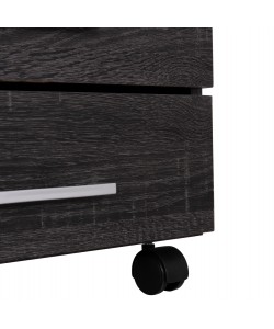 ΣΥΡΤΑΡΙΕΡΑ ΓΡΑΦΕΙΟΥ HAYDEN HM2282.01 ΣΕ ΑΝΘΡΑΚΙ ΧΡΩΜΑ 39.5x40x46.5Υεκ