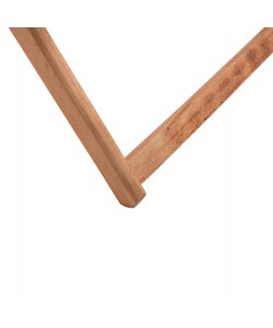 ΣΕΖΛΟΝΓΚ ΧΩΡΙΣ ΜΠΡΑΤΣΟ ΛΗΜΝΟΣ ΜΑΣΙΦ ΟΞΙΑ ΕΜΠΟΤΙΣΜΟΣ ΦΥΣΙΚΟ HM5798.02