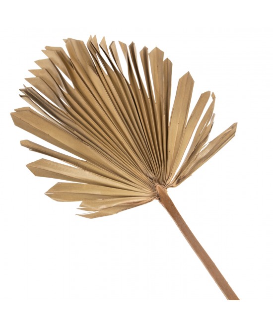 ΔΙΑΚΟΣΜΗΤΙΚΟ ΤΟΙΧΟΥ HM7876 ΑΠΟΞΗΡΑΜΕΝΟ ΦΥΛΛΟ ΦΟΙΝΙΚΑ ΣΕ ΦΥΣΙΚΗ ΑΠΟΧΡΩΣΗ 30x102x3 εκ.