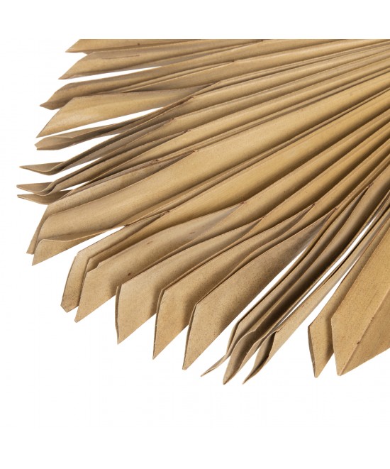 ΔΙΑΚΟΣΜΗΤΙΚΟ ΤΟΙΧΟΥ HM7876 ΑΠΟΞΗΡΑΜΕΝΟ ΦΥΛΛΟ ΦΟΙΝΙΚΑ ΣΕ ΦΥΣΙΚΗ ΑΠΟΧΡΩΣΗ 30x102x3 εκ.