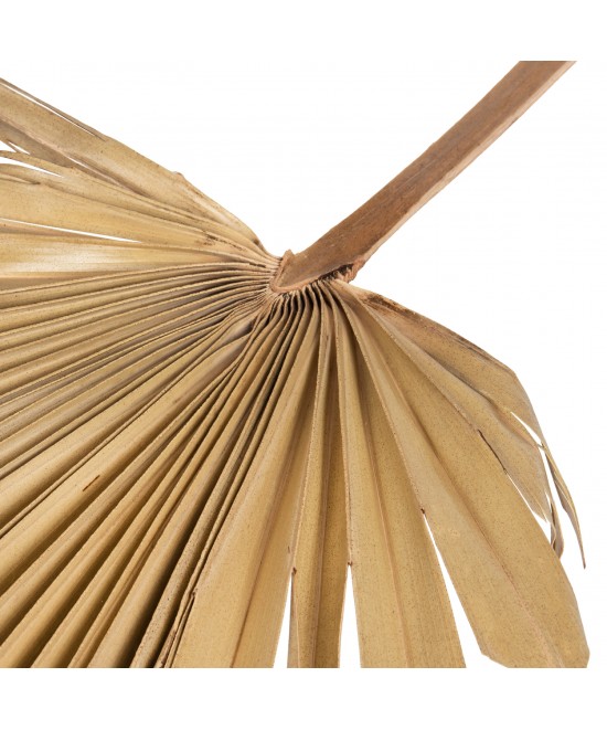 ΔΙΑΚΟΣΜΗΤΙΚΟ ΤΟΙΧΟΥ HM7876 ΑΠΟΞΗΡΑΜΕΝΟ ΦΥΛΛΟ ΦΟΙΝΙΚΑ ΣΕ ΦΥΣΙΚΗ ΑΠΟΧΡΩΣΗ 30x102x3 εκ.