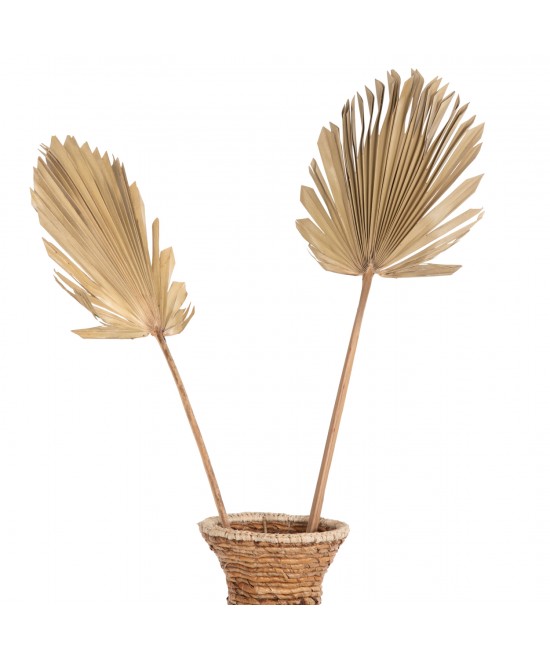 ΔΙΑΚΟΣΜΗΤΙΚΟ ΤΟΙΧΟΥ HM7876 ΑΠΟΞΗΡΑΜΕΝΟ ΦΥΛΛΟ ΦΟΙΝΙΚΑ ΣΕ ΦΥΣΙΚΗ ΑΠΟΧΡΩΣΗ 30x102x3 εκ.