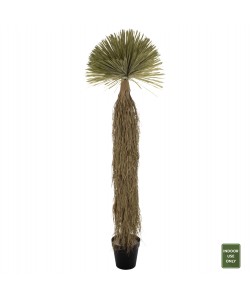 ΔΙΑΚΟΣΜΗΤΙΚΟ ΣΥΝΘΕΤΙΚΟ ΦΥΤΟ HM7974 SCARECROW ΣΕ ΓΛΑΣΤΡΑ 220Υεκ.