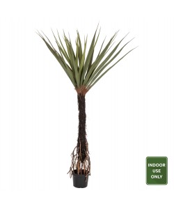 ΔΙΑΚΟΣΜΗΤΙΚΟ ΣΥΝΘΕΤΙΚΟ ΦΥΤΟ HM7989 ΔΕΝΤΡΟ SISAL ΣΕ ΓΛΑΣΤΡΑ 200Υεκ.