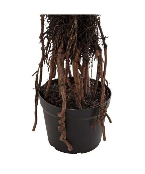 ΔΙΑΚΟΣΜΗΤΙΚΟ ΣΥΝΘΕΤΙΚΟ ΦΥΤΟ HM7989 ΔΕΝΤΡΟ SISAL ΣΕ ΓΛΑΣΤΡΑ 200Υεκ.