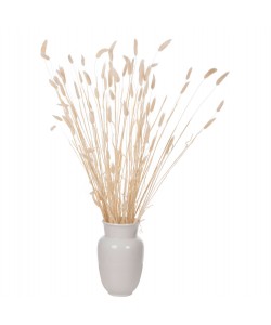 ΔΙΑΚΟΣΜΗΤΙΚΟ ΜΠΟΥΚΕΤΟ ΑΠΟΞΗΡΑΜΕΝΟ HM7959 RABBIT TAIL- CREAM 50gr 76Υεκ.