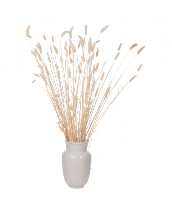ΔΙΑΚΟΣΜΗΤΙΚΟ ΜΠΟΥΚΕΤΟ ΑΠΟΞΗΡΑΜΕΝΟ HM7959 RABBIT TAIL- CREAM 50gr 76Υεκ.