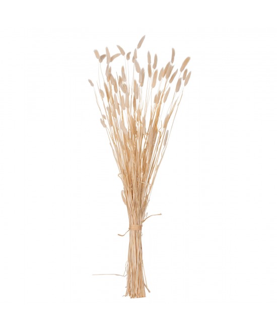 ΔΙΑΚΟΣΜΗΤΙΚΟ ΜΠΟΥΚΕΤΟ ΑΠΟΞΗΡΑΜΕΝΟ HM7959 RABBIT TAIL- CREAM 50gr 76Υεκ.