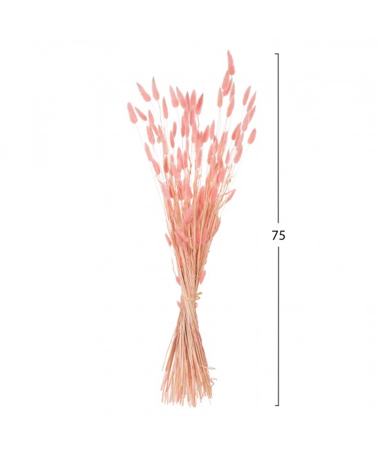 ΔΙΑΚΟΣΜΗΤΙΚΟ ΜΠΟΥΚΕΤΟ ΑΠΟΞΗΡΑΜΕΝΟ HM7960 RABBIT TAIL-PINK 75Υεκ. ΔΙΑΚΟΣΜΗΤΙΚΟ ΜΠΟΥΚΕΤΟ ΑΠΟΞΗΡΑΜΕΝΟ HM7960 RABBIT TAIL-PINK 75Υεκ.