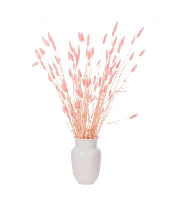 ΔΙΑΚΟΣΜΗΤΙΚΟ ΜΠΟΥΚΕΤΟ ΑΠΟΞΗΡΑΜΕΝΟ HM7960 RABBIT TAIL-PINK 75Υεκ. ΔΙΑΚΟΣΜΗΤΙΚΟ ΜΠΟΥΚΕΤΟ ΑΠΟΞΗΡΑΜΕΝΟ HM7960 RABBIT TAIL-PINK 75Υεκ.