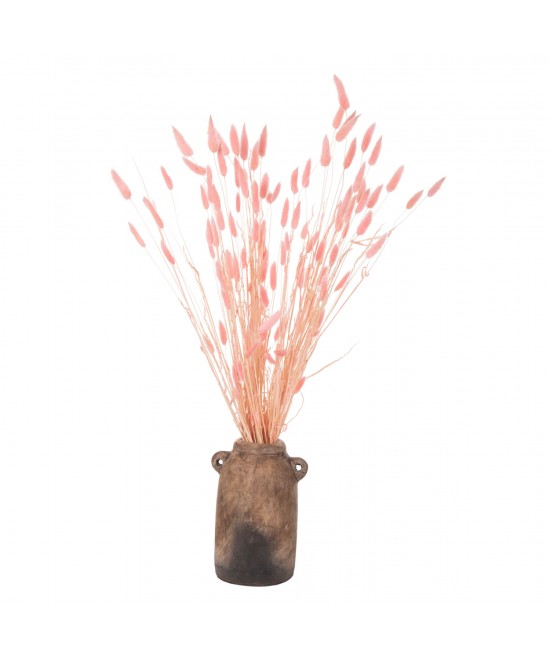 ΔΙΑΚΟΣΜΗΤΙΚΟ ΜΠΟΥΚΕΤΟ ΑΠΟΞΗΡΑΜΕΝΟ HM7960 RABBIT TAIL-PINK 75Υεκ. ΔΙΑΚΟΣΜΗΤΙΚΟ ΜΠΟΥΚΕΤΟ ΑΠΟΞΗΡΑΜΕΝΟ HM7960 RABBIT TAIL-PINK 75Υεκ.