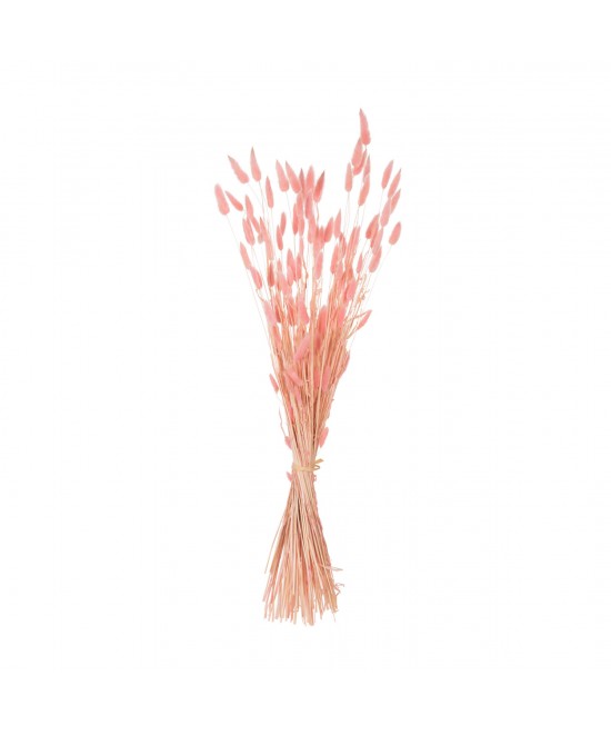 ΔΙΑΚΟΣΜΗΤΙΚΟ ΜΠΟΥΚΕΤΟ ΑΠΟΞΗΡΑΜΕΝΟ HM7960 RABBIT TAIL-PINK 75Υεκ. ΔΙΑΚΟΣΜΗΤΙΚΟ ΜΠΟΥΚΕΤΟ ΑΠΟΞΗΡΑΜΕΝΟ HM7960 RABBIT TAIL-PINK 75Υεκ.