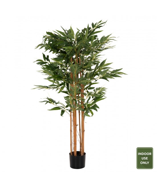 ΔΙΑΚΟΣΜΗΤΙΚΟ ΣΥΝΘΕΤΙΚΟ ΦΥΤΟ HM4003 BAMBOO ΣΕ ΓΛΑΣΤΡΑ 155Υεκ. ΔΙΑΚΟΣΜΗΤΙΚΟ ΣΥΝΘΕΤΙΚΟ ΦΥΤΟ HM4003 BAMBOO ΣΕ ΓΛΑΣΤΡΑ 155Υεκ.