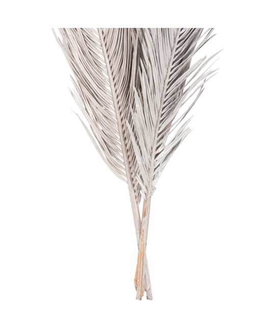 ΔΙΑΚΟΣΜΗΤΙΚΟ ΑΠΟΞΗΡΑΜΕΝΟ ΣΕΤ 3 ΦΥΛΛΩΝ ΦΟΙΝΙΚΑ HM7957 ΑΣΗΜΙ 110Υεκ. ΔΙΑΚΟΣΜΗΤΙΚΟ ΑΠΟΞΗΡΑΜΕΝΟ ΣΕΤ 3 ΦΥΛΛΩΝ ΦΟΙΝΙΚΑ HM7957 ΑΣΗΜΙ 110Υεκ.