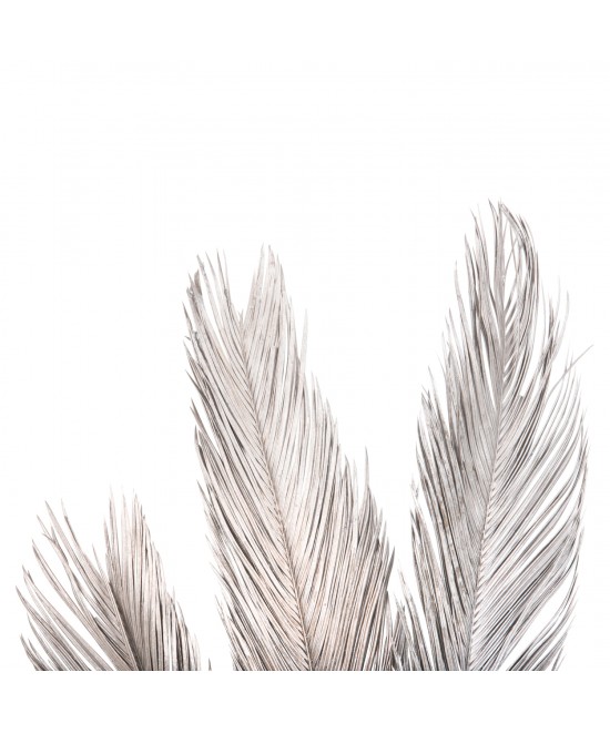 ΔΙΑΚΟΣΜΗΤΙΚΟ ΑΠΟΞΗΡΑΜΕΝΟ ΣΕΤ 3 ΦΥΛΛΩΝ ΦΟΙΝΙΚΑ HM7957 ΑΣΗΜΙ 110Υεκ. ΔΙΑΚΟΣΜΗΤΙΚΟ ΑΠΟΞΗΡΑΜΕΝΟ ΣΕΤ 3 ΦΥΛΛΩΝ ΦΟΙΝΙΚΑ HM7957 ΑΣΗΜΙ 110Υεκ.