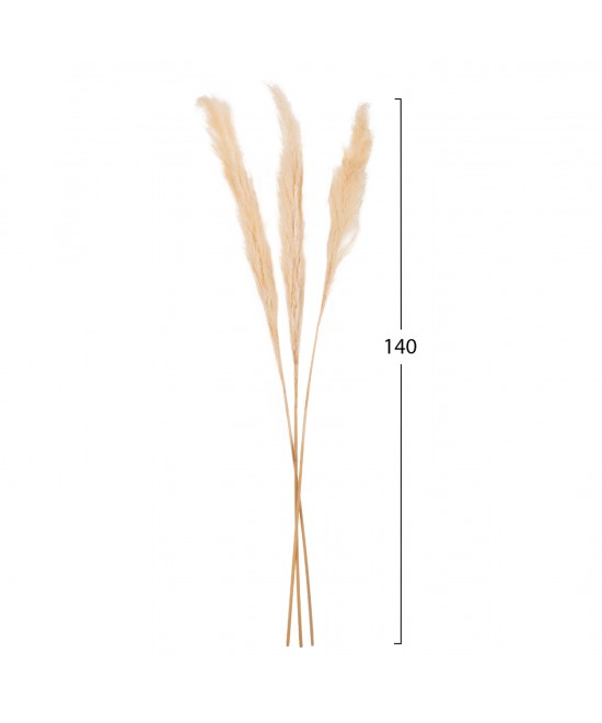 ΔΙΑΚΟΣΜΗΤΙΚΟ ΜΠΟΥΚΕΤΟ ΑΠΟΞΗΡΑΜΕΝΑ ΚΑΛΑΜΙΑ HM7961 ΛΕΥΚΟ 3TMX 140Υεκ. ΔΙΑΚΟΣΜΗΤΙΚΟ ΜΠΟΥΚΕΤΟ ΑΠΟΞΗΡΑΜΕΝΑ ΚΑΛΑΜΙΑ HM7961 ΛΕΥΚΟ 3TMX 140Υεκ.