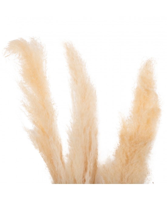 ΔΙΑΚΟΣΜΗΤΙΚΟ ΜΠΟΥΚΕΤΟ ΑΠΟΞΗΡΑΜΕΝΑ ΚΑΛΑΜΙΑ HM7961 ΛΕΥΚΟ 3TMX 140Υεκ. ΔΙΑΚΟΣΜΗΤΙΚΟ ΜΠΟΥΚΕΤΟ ΑΠΟΞΗΡΑΜΕΝΑ ΚΑΛΑΜΙΑ HM7961 ΛΕΥΚΟ 3TMX 140Υεκ.