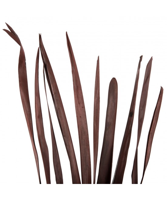 ΔΙΑΚΟΣΜΗΤΙΚΟ ΜΠΟΥΚΕΤΟ 10ΤΜΧ ΑΠΟΞΗΡΑΜΕΝΩΝ ΜΑΚΡΥΦΥΛΛΩΝ HM7965 ΚΑΦΕ 120Υεκ