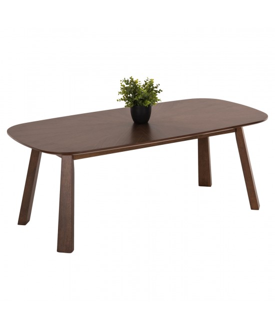 ΤΡΑΠΕΖΙ ΣΑΛΟΝΙΟΥ RINER HM9737 MDF ΣΕ ΚΑΡΥΔΙ ΧΡΩΜΑ 120x60x45Υεκ.