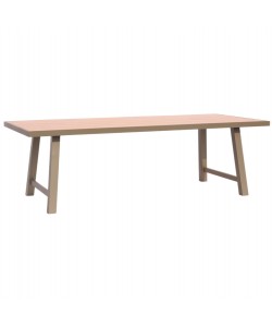 ΤΡΑΠΕΖΙ ΑΛΟΥΜΙΝΙΟΥ GOBAR HM6060.04 ΣΑΜΠΑΝΙ ΜΕ ΕΠΙΦΑΝΕΙΑ ΑΠΟΜΙΜΗΣΗΣ ΞΥΛΟΥ 240Χ105Χ75Υεκ.