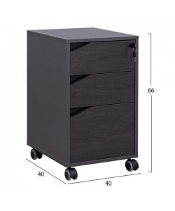 ΕΠΑΓΓΕΛΜΑΤΙΚΗ ΣΥΡΤΑΡΙΕΡΑ ΓΡΑΦΕΙΟΥ ΜΕ ΡΟΔΑΚΙΑ ROSEWOOD HM2108 40X40X66Y εκ.