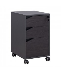 ΕΠΑΓΓΕΛΜΑΤΙΚΗ ΣΥΡΤΑΡΙΕΡΑ ΓΡΑΦΕΙΟΥ ΜΕ ΡΟΔΑΚΙΑ ROSEWOOD HM2108 40X40X66Y εκ.