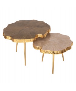 ΣΕΤ 2ΤΜΧ ΤΡΑΠΕΖΙΑ ΣΑΛΟΝΙΟΥ ANGUL HM10708 ΜΕΤΑΛΛΙΚΑ ΧΡΥΣΟ-ΜΑΥΡΟ-ΛΕΥΚΟ