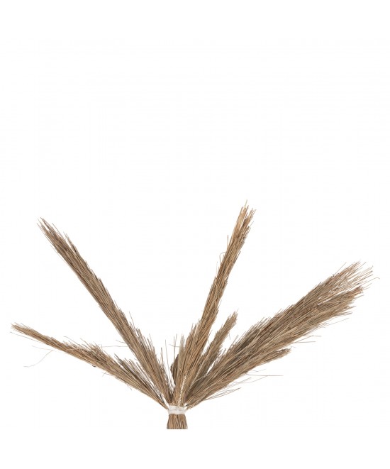 ΔΙΑΚΟΣΜΗΤΙΚΟ ΔΕΝΤΡΟ TROPIC HM4323 τ.ΦΟΙΝΙΚΑ ΑΠΟ MENDONG GRASS 310Yεκ.