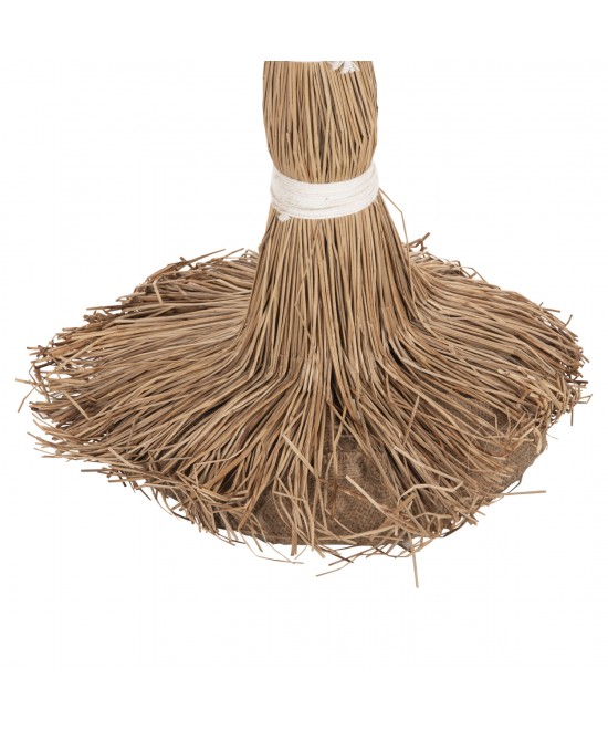 ΔΙΑΚΟΣΜΗΤΙΚΟ ΔΕΝΤΡΟ TROPIC HM4323 τ.ΦΟΙΝΙΚΑ ΑΠΟ MENDONG GRASS 310Yεκ.