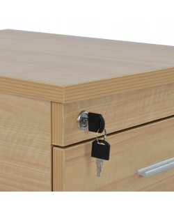 ΣΥΡΤΑΡΙΕΡΑ ΓΡΑΦΕΙΟΥ VANCE ΕΠΑΓΓΕΛΜΑΤΙΚΗ ΟΞΙΑ HM2048.11 40X40X55Υ εκ.