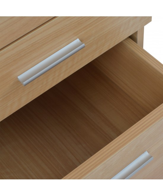 ΣΥΡΤΑΡΙΕΡΑ ΓΡΑΦΕΙΟΥ VANCE ΕΠΑΓΓΕΛΜΑΤΙΚΗ ΟΞΙΑ HM2048.11 40X40X55Υ εκ.