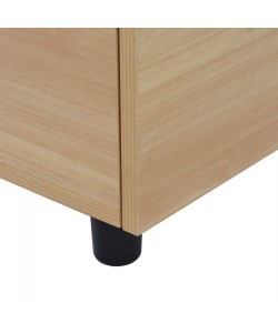 ΣΥΡΤΑΡΙΕΡΑ ΓΡΑΦΕΙΟΥ VANCE ΕΠΑΓΓΕΛΜΑΤΙΚΗ ΟΞΙΑ HM2048.11 40X40X55Υ εκ.