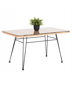 ΤΡΑΠΕΖΙ ΕΞ.ΧΩΡΟΥ ΧΑΜΗΛΟ ALLEGRA HM6076 ΜΑΥΡΟ ΜΕΤΑΛΛΟ-ΜΠΕΖ WICKER 95X55X51.5Yεκ.