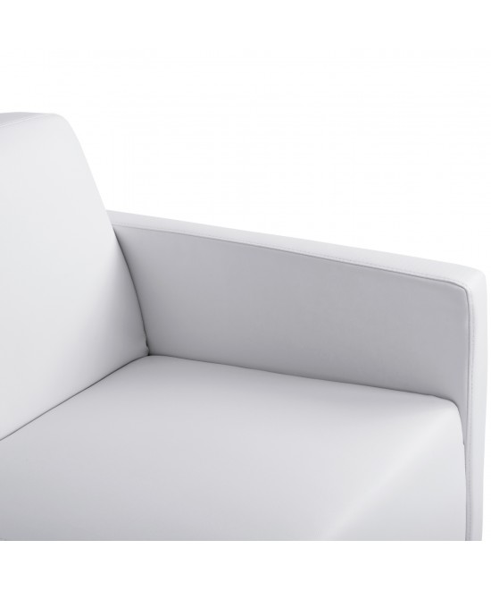 ΚΑΝΑΠΕΣ 2ΘΕΣΙΟΣ NELLIE HM3159.22 ΜΕ ΛΕΥΚΟ PU 113x71x71Υ εκ. ΚΑΝΑΠΕΣ 2ΘΕΣΙΟΣ NELLIE HM3159.22 ΜΕ ΛΕΥΚΟ PU 113x71x71Υ εκ.
