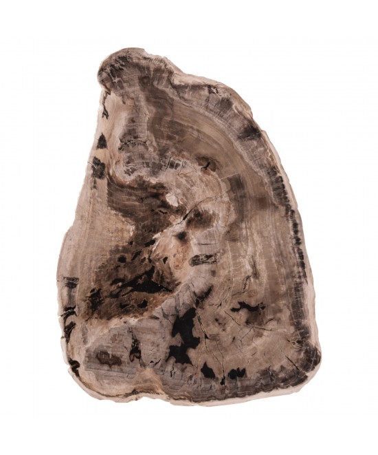 ΤΡΑΠΕΖΙ ΣΑΛΟΝΙΟΥ SAMAN HM9930 ΜΑΥΡΑ ΜΕΤΑΛΛΙΚΑ ΠΟΔΙΑ-TOP ΑΠΟΛΙΘΩΜΕΝΟΥ ΞΥΛΟΥ 76x53x45Υεκ