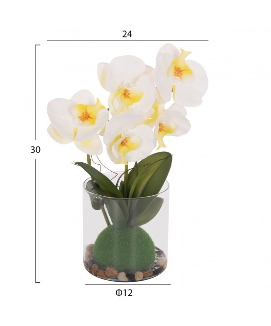 ΔΙΑΚΟΣΜΗΤΙΚΟ ΣΥΝΘΕΤΙΚΟ ΦΥΤΟ HM4738 ΛΟΥΛΟΥΔΙ PHALAENOPSIS ΣΕ ΓΥΑΛΙΝΟ ΒΑΖΟ 12x24x30Υεκ ΔΙΑΚΟΣΜΗΤΙΚΟ ΣΥΝΘΕΤΙΚΟ ΦΥΤΟ HM4738 ΛΟΥΛΟΥΔΙ PHALAENOPSIS ΣΕ ΓΥΑΛΙΝΟ ΒΑΖΟ 12x24x30Υεκ