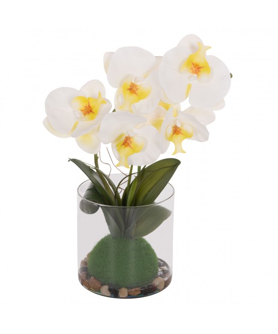 ΔΙΑΚΟΣΜΗΤΙΚΟ ΣΥΝΘΕΤΙΚΟ ΦΥΤΟ HM4738 ΛΟΥΛΟΥΔΙ PHALAENOPSIS ΣΕ ΓΥΑΛΙΝΟ ΒΑΖΟ 12x24x30Υεκ ΔΙΑΚΟΣΜΗΤΙΚΟ ΣΥΝΘΕΤΙΚΟ ΦΥΤΟ HM4738 ΛΟΥΛΟΥΔΙ PHALAENOPSIS ΣΕ ΓΥΑΛΙΝΟ ΒΑΖΟ 12x24x30Υεκ