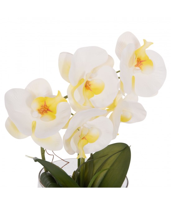 ΔΙΑΚΟΣΜΗΤΙΚΟ ΣΥΝΘΕΤΙΚΟ ΦΥΤΟ HM4738 ΛΟΥΛΟΥΔΙ PHALAENOPSIS ΣΕ ΓΥΑΛΙΝΟ ΒΑΖΟ 12x24x30Υεκ ΔΙΑΚΟΣΜΗΤΙΚΟ ΣΥΝΘΕΤΙΚΟ ΦΥΤΟ HM4738 ΛΟΥΛΟΥΔΙ PHALAENOPSIS ΣΕ ΓΥΑΛΙΝΟ ΒΑΖΟ 12x24x30Υεκ