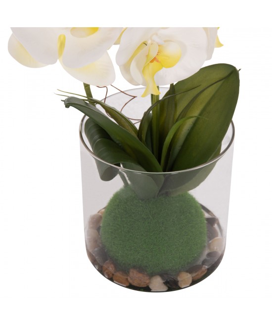 ΔΙΑΚΟΣΜΗΤΙΚΟ ΣΥΝΘΕΤΙΚΟ ΦΥΤΟ HM4738 ΛΟΥΛΟΥΔΙ PHALAENOPSIS ΣΕ ΓΥΑΛΙΝΟ ΒΑΖΟ 12x24x30Υεκ ΔΙΑΚΟΣΜΗΤΙΚΟ ΣΥΝΘΕΤΙΚΟ ΦΥΤΟ HM4738 ΛΟΥΛΟΥΔΙ PHALAENOPSIS ΣΕ ΓΥΑΛΙΝΟ ΒΑΖΟ 12x24x30Υεκ