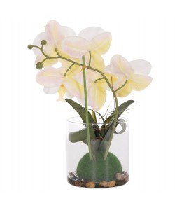 ΔΙΑΚΟΣΜΗΤΙΚΟ ΣΥΝΘΕΤΙΚΟ ΦΥΤΟ HM4738 ΛΟΥΛΟΥΔΙ PHALAENOPSIS ΣΕ ΓΥΑΛΙΝΟ ΒΑΖΟ 12x24x30Υεκ ΔΙΑΚΟΣΜΗΤΙΚΟ ΣΥΝΘΕΤΙΚΟ ΦΥΤΟ HM4738 ΛΟΥΛΟΥΔΙ PHALAENOPSIS ΣΕ ΓΥΑΛΙΝΟ ΒΑΖΟ 12x24x30Υεκ