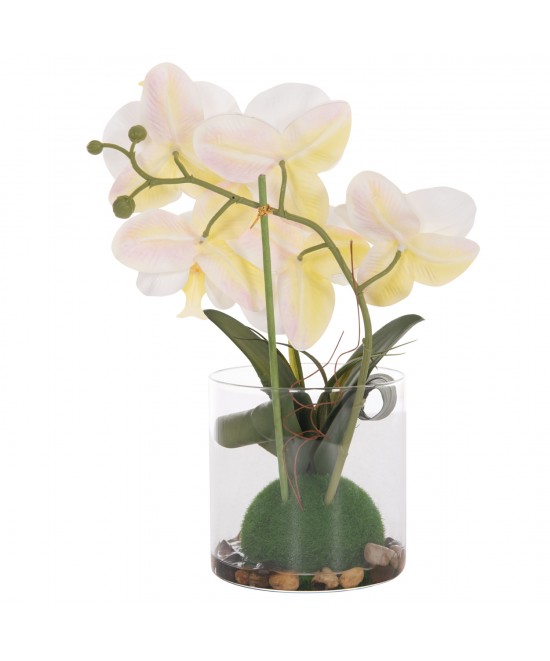ΔΙΑΚΟΣΜΗΤΙΚΟ ΣΥΝΘΕΤΙΚΟ ΦΥΤΟ HM4738 ΛΟΥΛΟΥΔΙ PHALAENOPSIS ΣΕ ΓΥΑΛΙΝΟ ΒΑΖΟ 12x24x30Υεκ ΔΙΑΚΟΣΜΗΤΙΚΟ ΣΥΝΘΕΤΙΚΟ ΦΥΤΟ HM4738 ΛΟΥΛΟΥΔΙ PHALAENOPSIS ΣΕ ΓΥΑΛΙΝΟ ΒΑΖΟ 12x24x30Υεκ