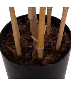 ΔΙΑΚΟΣΜΗΤΙΚΟ ΣΥΝΘΕΤΙΚΟ ΦΥΤΟ HM4736 BAMBOO ΣΕ ΓΛΑΣΤΡΑ 20x95x180Υεκ.
