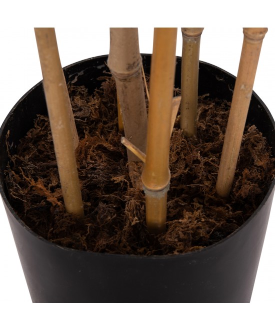 ΔΙΑΚΟΣΜΗΤΙΚΟ ΣΥΝΘΕΤΙΚΟ ΦΥΤΟ HM4736 BAMBOO ΣΕ ΓΛΑΣΤΡΑ 20x95x180Υεκ.