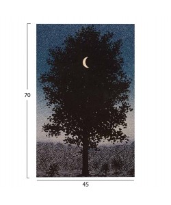 ΠΙΝΑΚΑΣ TOIXOY ΣΕΙΡΑ GOBI HM4850 ΕΚΤΥΠΩΜΕΝΟΣ ΚΑΜΒΑΣ 45x3(πάχος)x70Yεκ.