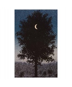 ΠΙΝΑΚΑΣ TOIXOY ΣΕΙΡΑ GOBI HM4850 ΕΚΤΥΠΩΜΕΝΟΣ ΚΑΜΒΑΣ 45x3(πάχος)x70Yεκ.